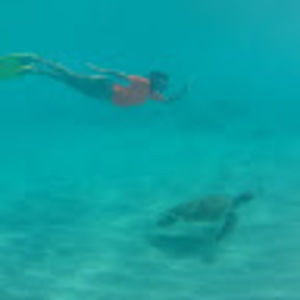 Meet your Posher, Maya